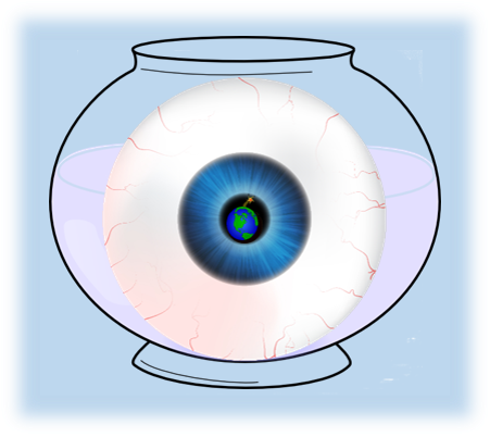 Whirled View